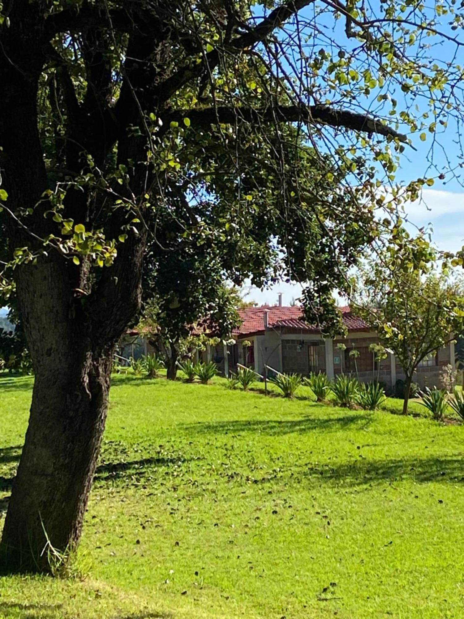 Cabanas Huerta La Mision, Zacatlán المظهر الخارجي الصورة